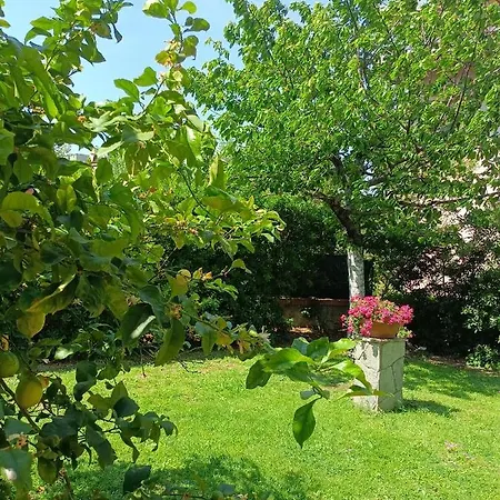 Il Giardino A Boccadasse