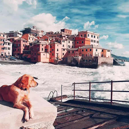 Appartement Il Giardino A Boccadasse *