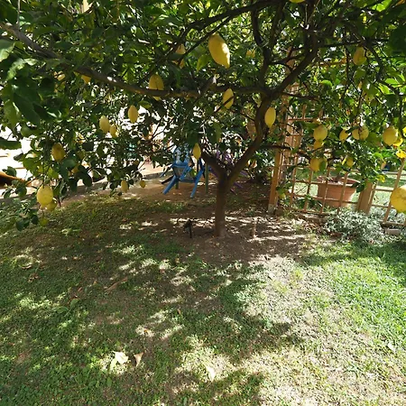 Il Giardino A Boccadasse Διαμέρισμα